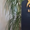 Matte Black Gold Hajj Mubarak Plaque | Arabic Calligraphy Islamic Home Decor